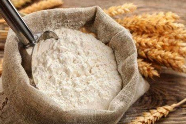 Wheat Protein Powder