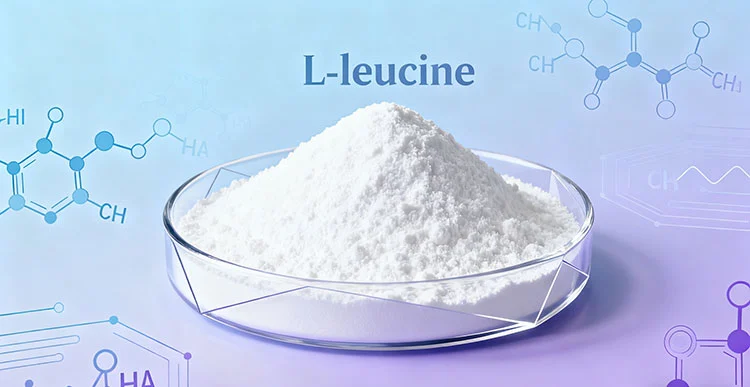 L-leucine-Bulk.jpg