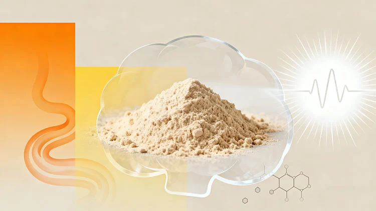 Lion's-Mane-Extract-Powder.jpg