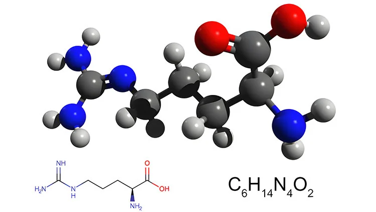 L-arginine.jpg