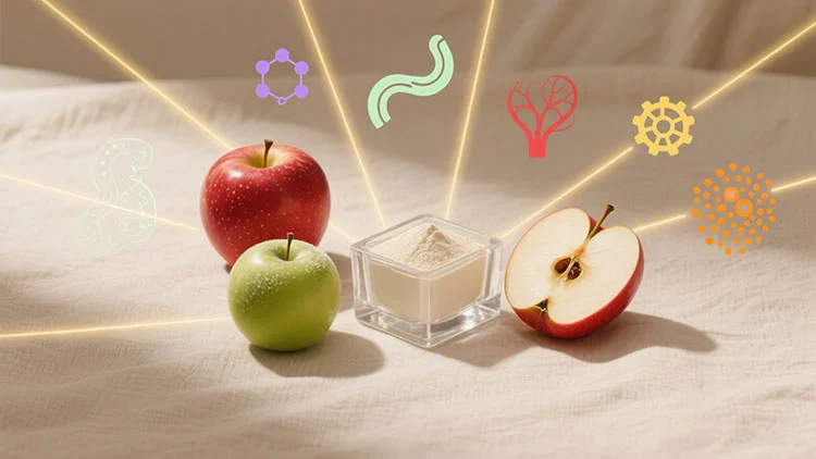 Apple-Extract-benefits.jpg Apple-Extract-benefits.jpg