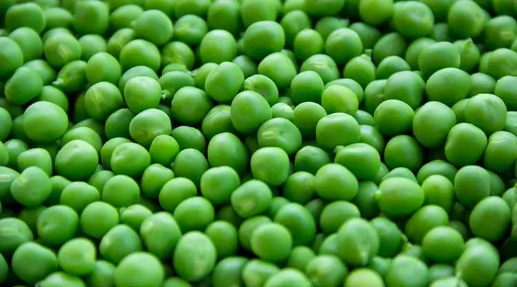pea.jpg