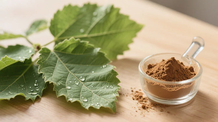 Mulberry-Leaves-Extract.jpg