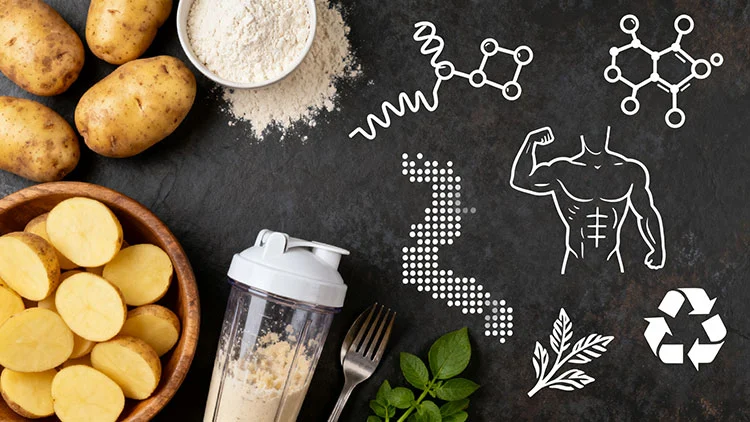 Potato-Protein-Powder-benefits.jpg