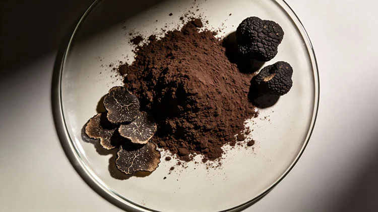 Black-Truffle-Extract.jpg