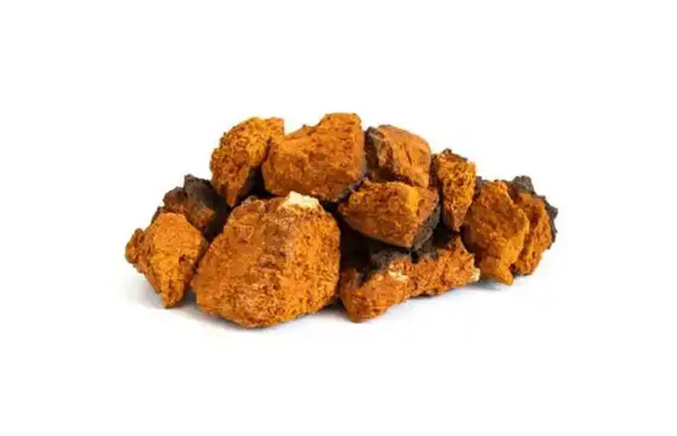 Chaga-Mushroom Chaga-Mushroom