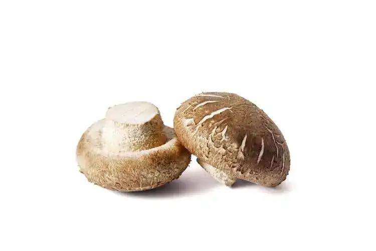 lentinan lentinan