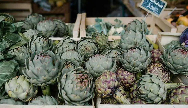 Artichoke