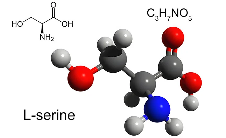 L-Serine
