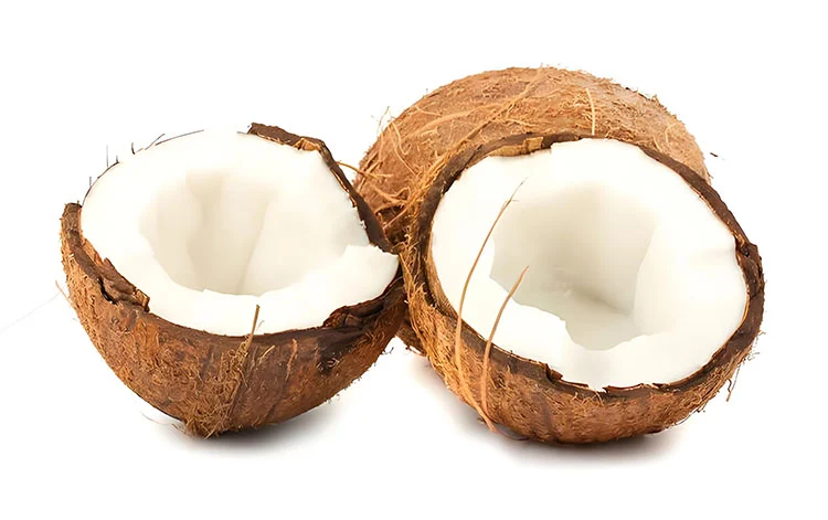 Coconut