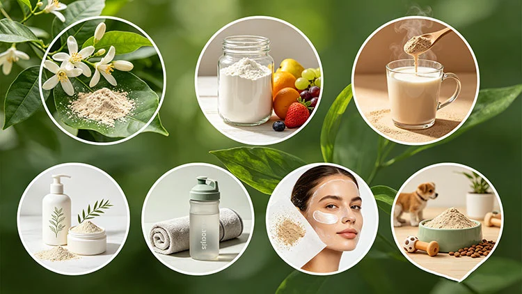 Geniposidic-Acid-Powder-Benefits Geniposidic-Acid-Powder-Benefits