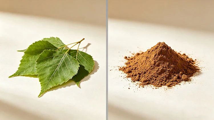 Birch-Leaves-Extract