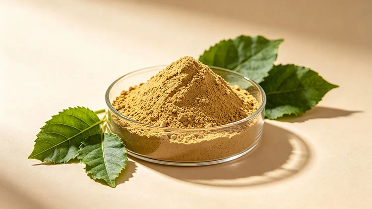 Guava-Leaves-Extract