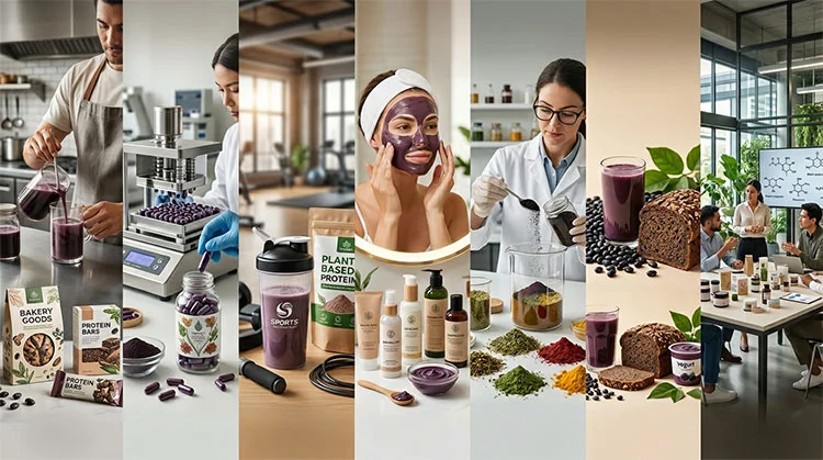 Black-Bean-Extract-Application Black-Bean-Extract-Application