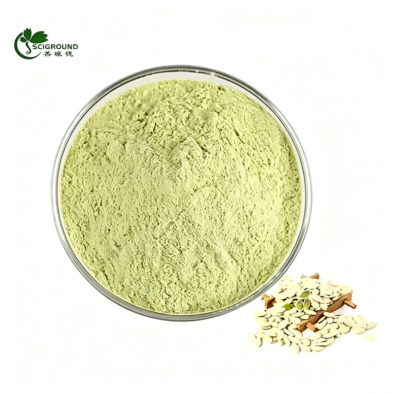 Organic Pumpkin Seed Protein Powder