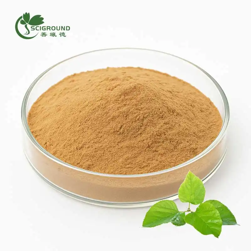 White Mulberry Extract 